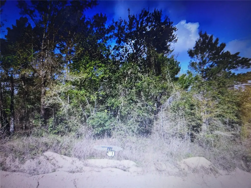 Grey Interlachen FL 32148
