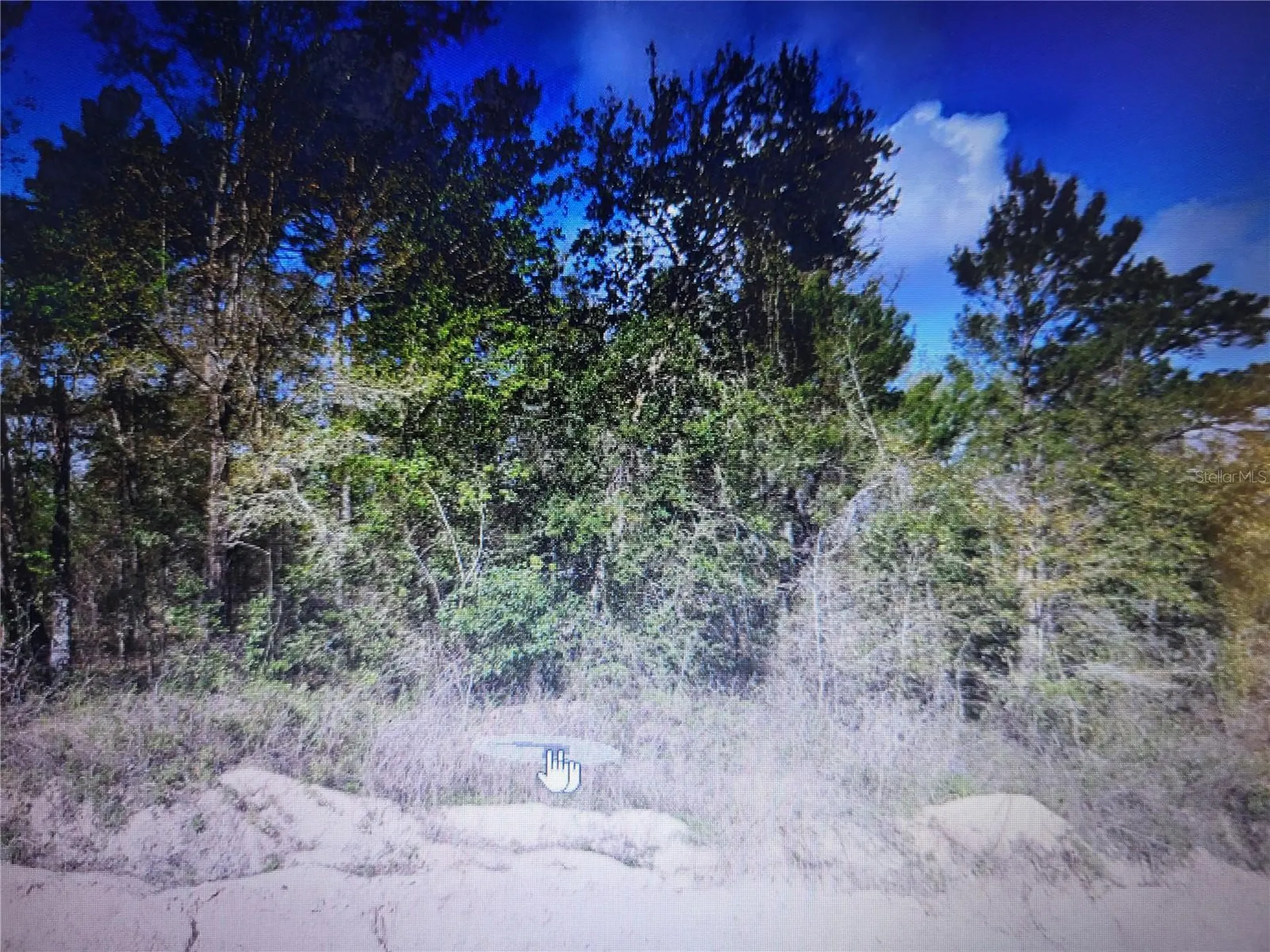 Grey Interlachen FL 32148