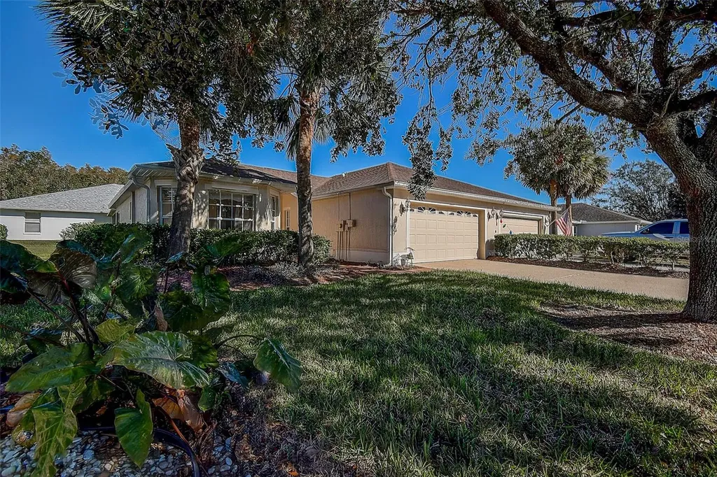 29417 Caddyshack Lane San Antonio FL 33576
