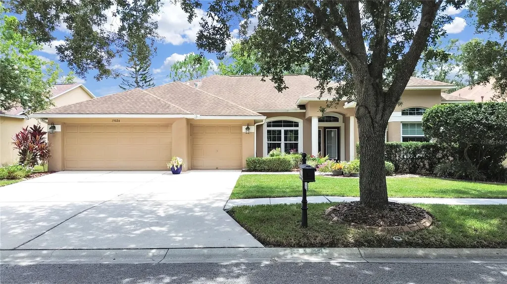 19024 Dove Creek Drive Tampa FL 33647