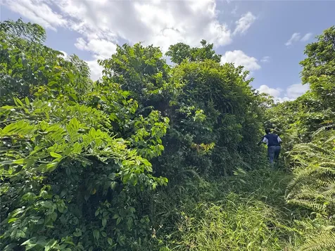 Carr 902 Km 10.1 Yabucoa PR 00767