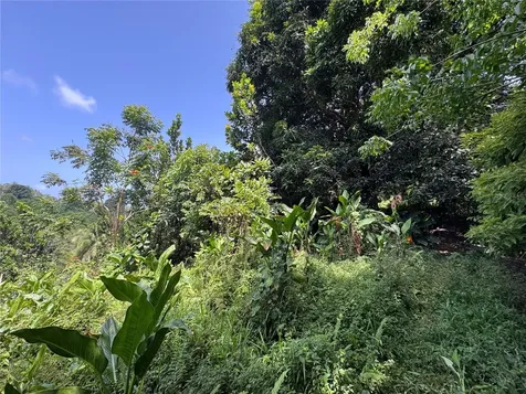 Carr 902 Km 10.1 Yabucoa PR 00767