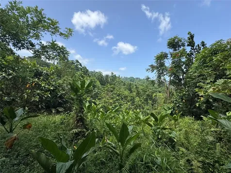 Carr 902 Km 10.1 Yabucoa PR 00767