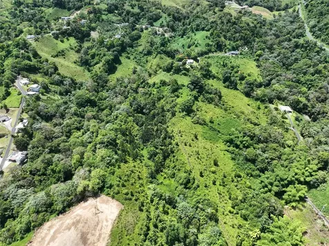 Carr 902 Km 10.1 Yabucoa PR 00767