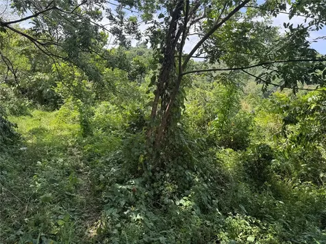 Carr 902 Km 10.1 Yabucoa PR 00767