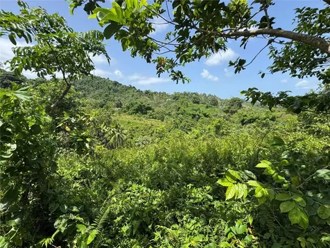 Carr 902 Km 10.1 Yabucoa PR 00767