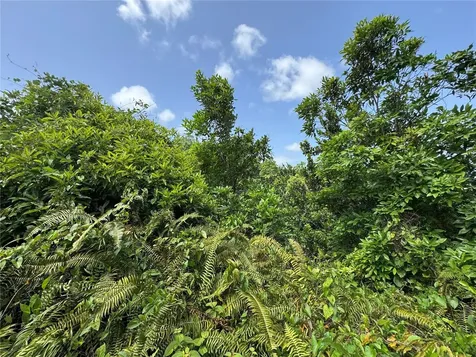 Carr 902 Km 10.1 Yabucoa PR 00767