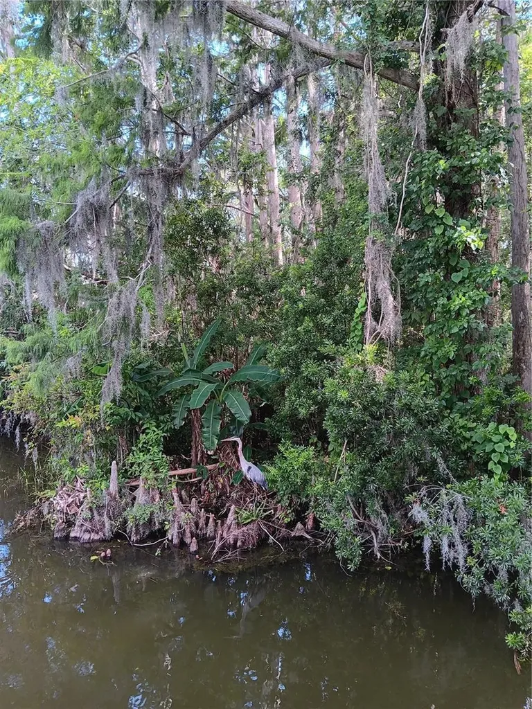 9117 E Royal Palm Drive Inverness FL 34450