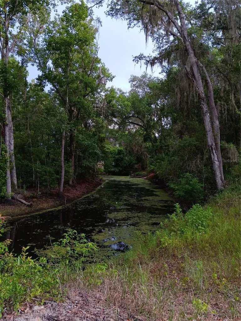 9117 E Royal Palm Drive Inverness FL 34450
