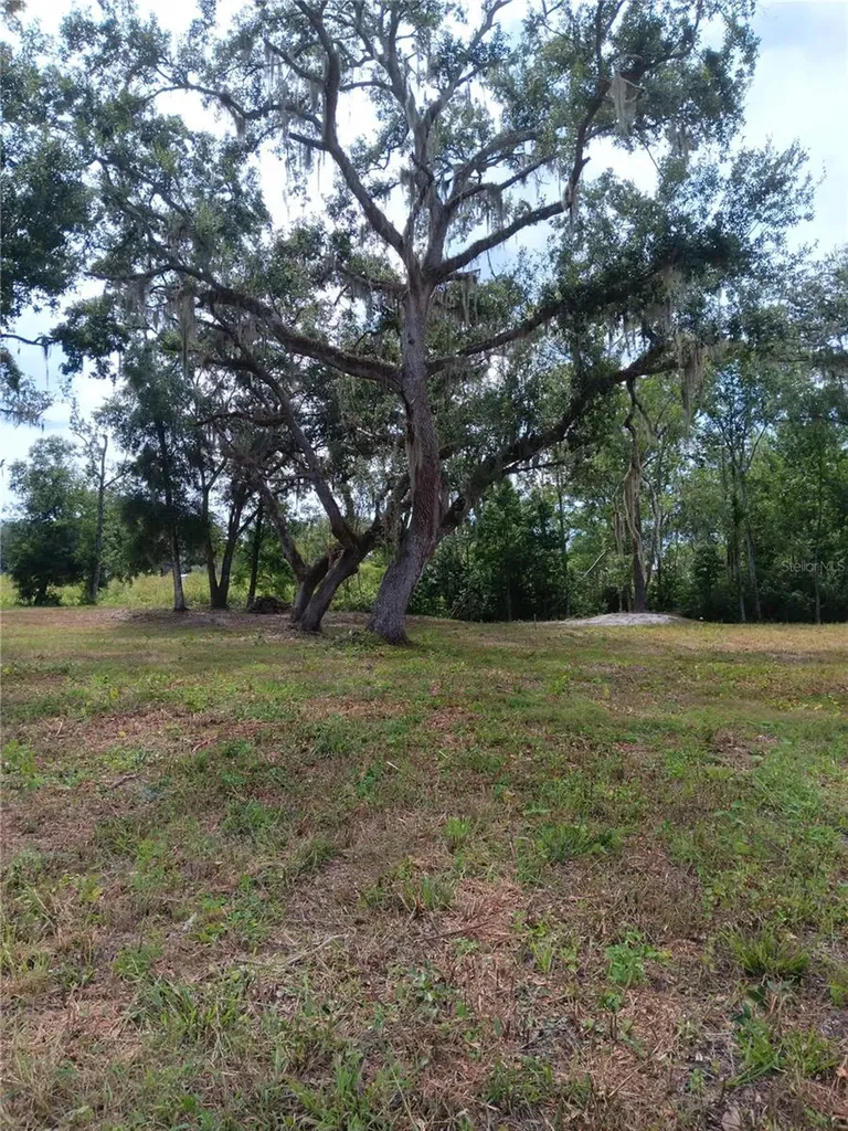 9117 E Royal Palm Drive Inverness FL 34450