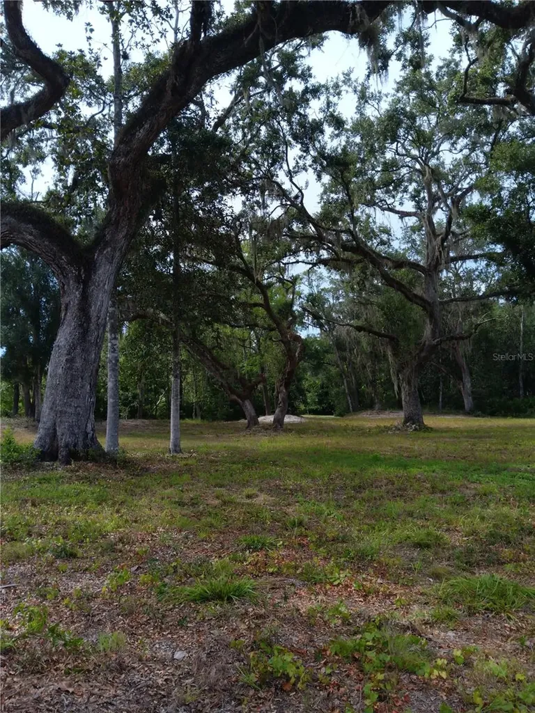9117 E Royal Palm Drive Inverness FL 34450