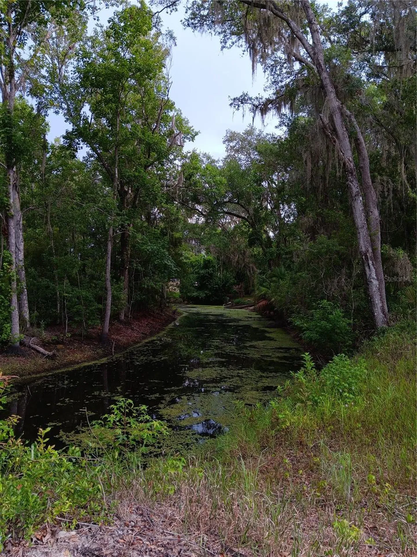 9117 E Royal Palm Drive Inverness FL 34450