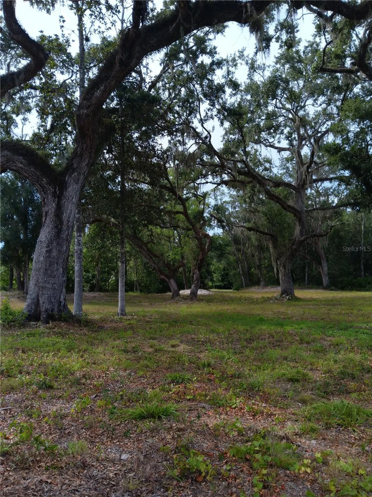 9117 E Royal Palm Drive Inverness FL 34450
