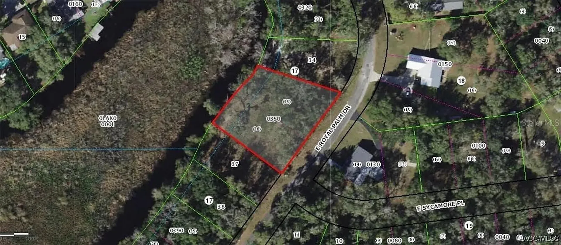 9117 E Royal Palm Drive Inverness FL 34450