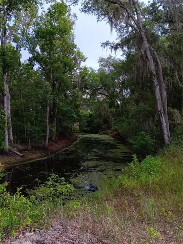 9117 E Royal Palm Drive Inverness FL 34450