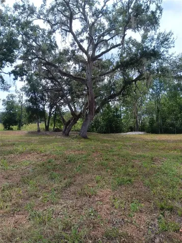 9117 E Royal Palm Drive Inverness FL 34450