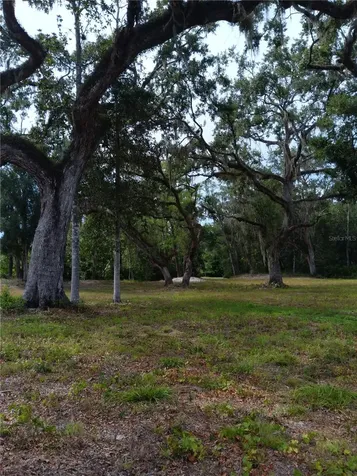 9117 E Royal Palm Drive Inverness FL 34450