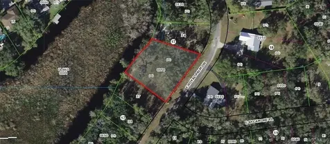 9117 E Royal Palm Drive Inverness FL 34450