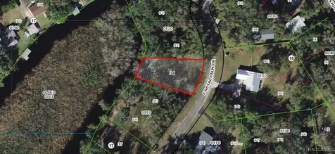 9117 E Royal Palm Drive Inverness FL 34450