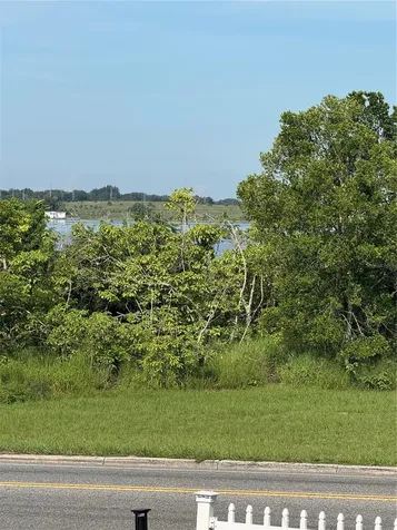 485 N Buena Vista Drive Lake Alfred FL 33850