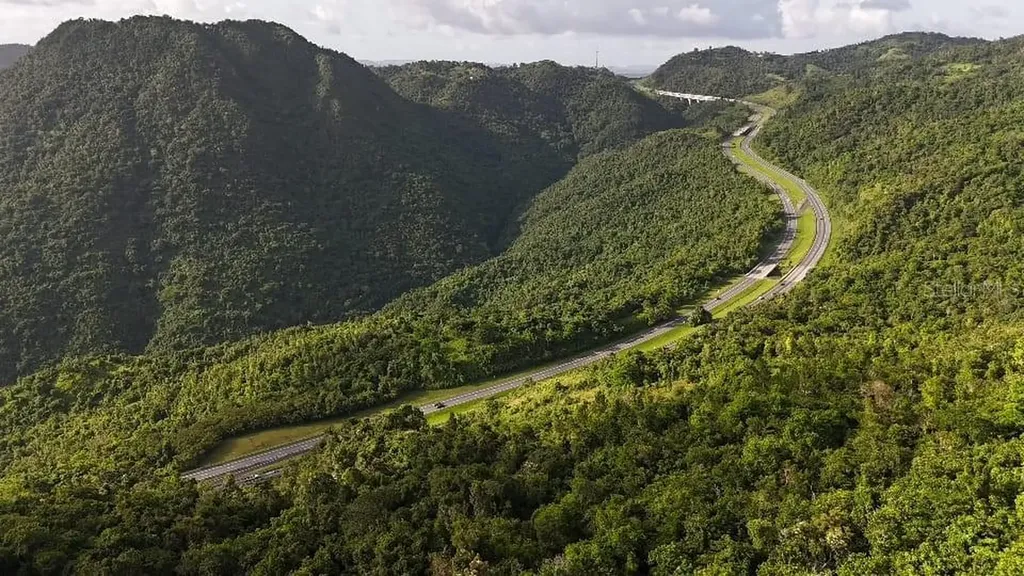 PR-715 Km 5.7 Int Cercadillo Cayey PR 00736