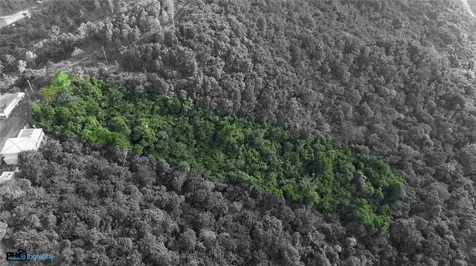 PR-715 Km 5.7 Int Cercadillo Cayey PR 00736