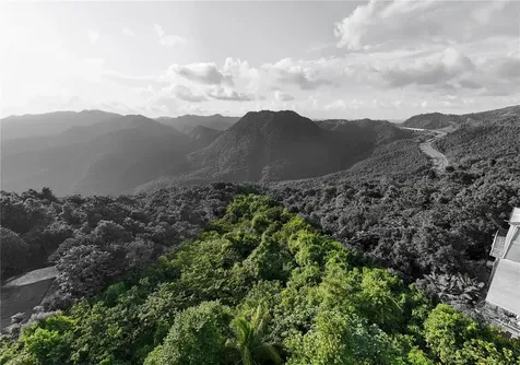 PR-715 Km 5.7 Int Cercadillo Cayey PR 00736