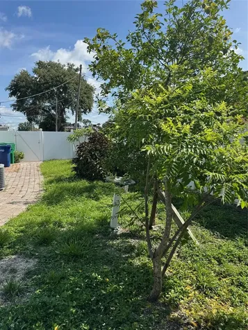 3322 W Saint Joseph Street Tampa FL 33607