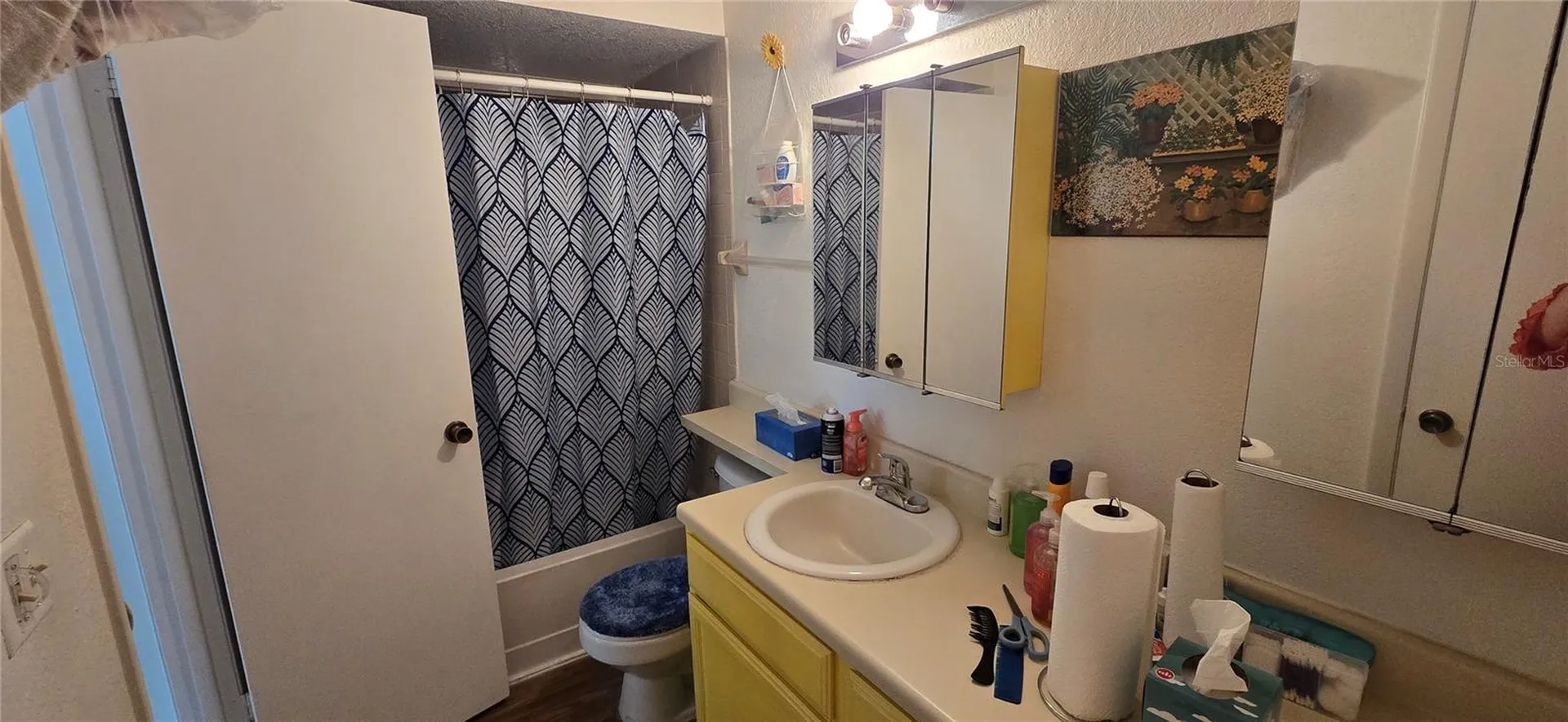 5291 Images Circle Kissimmee FL 34746