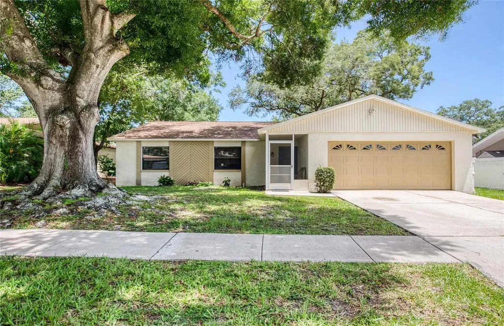213 Lotus Drive Safety Harbor FL 34695