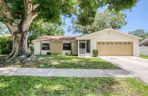 213 Lotus Drive Safety Harbor FL 34695
