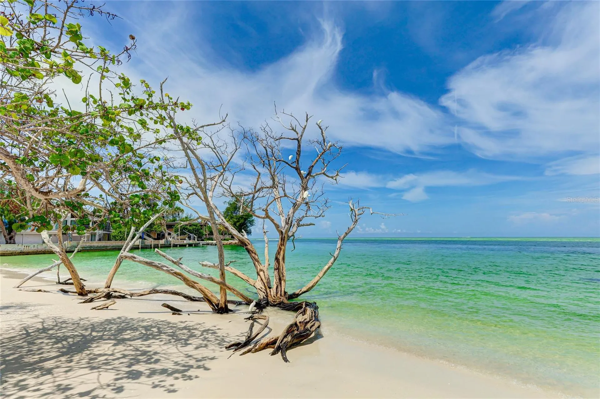 22 Sandy Cove Road Sarasota FL 34242