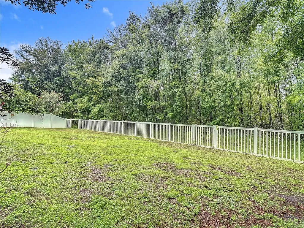 9314 Black Thorn Loop Land O Lakes FL 34638