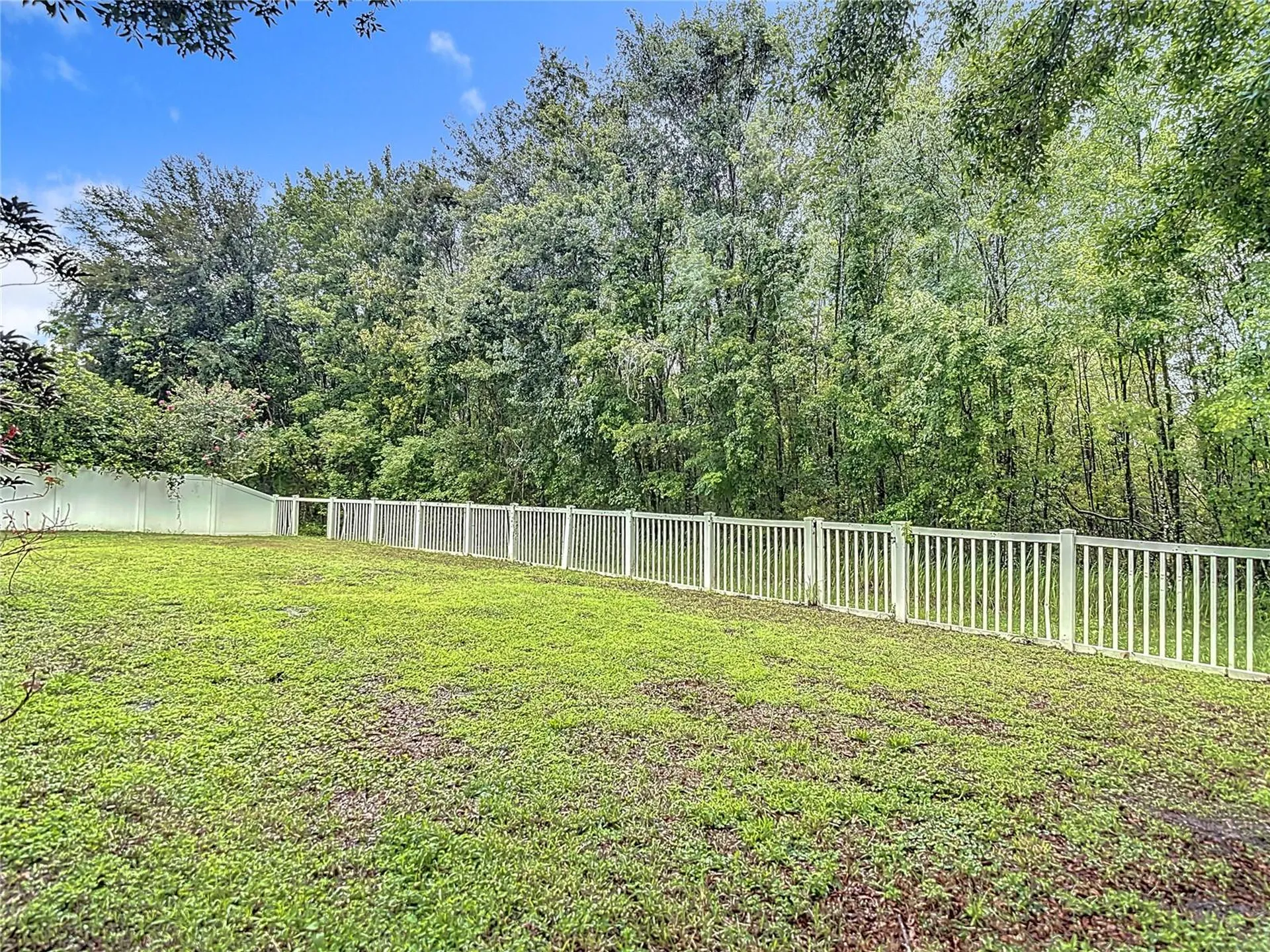 9314 Black Thorn Loop Land O Lakes FL 34638