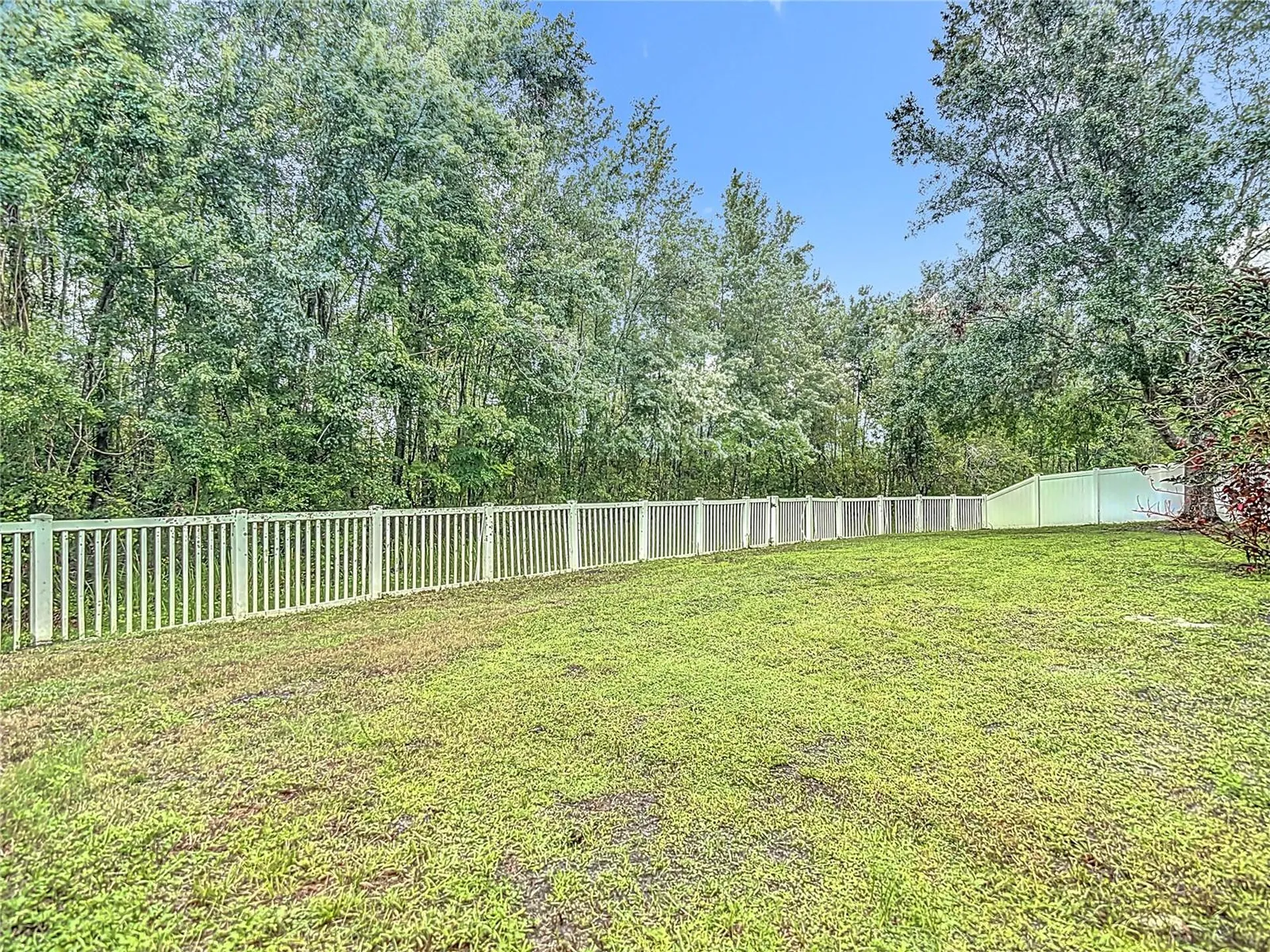 9314 Black Thorn Loop Land O Lakes FL 34638