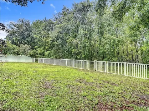 9314 Black Thorn Loop Land O Lakes FL 34638