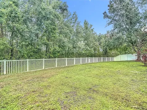 9314 Black Thorn Loop Land O Lakes FL 34638