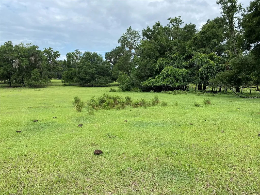 17249 NE 9th Avenue Citra FL 32113