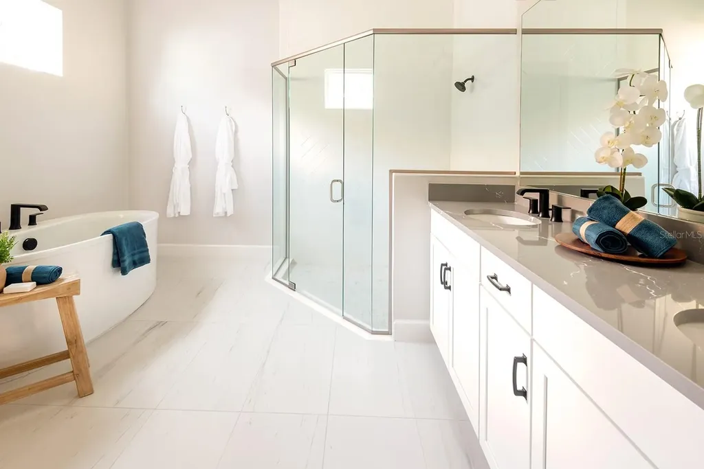 1085 Signet Apollo Beach FL 33572