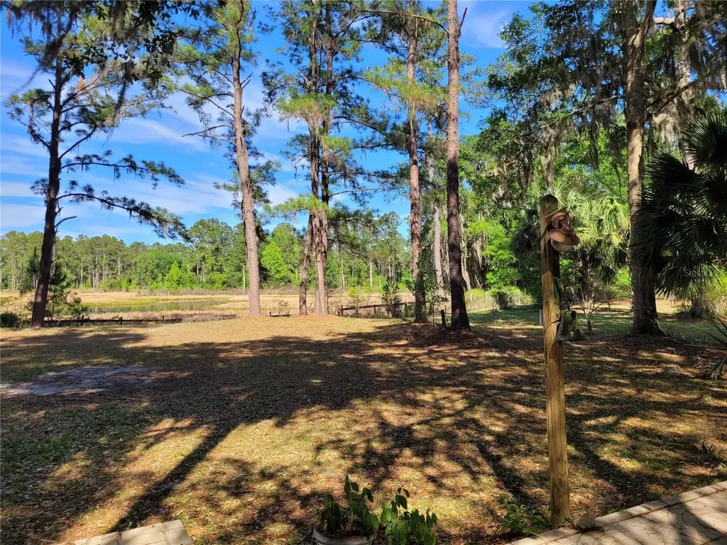 8465 NW 186th Street Reddick FL 32686