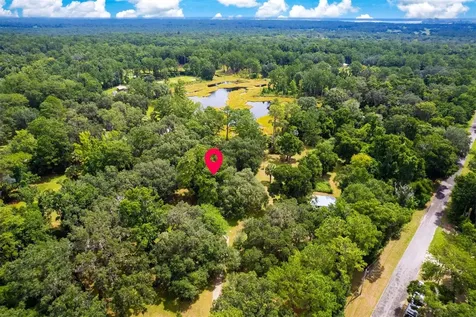 8465 NW 186th Street Reddick FL 32686