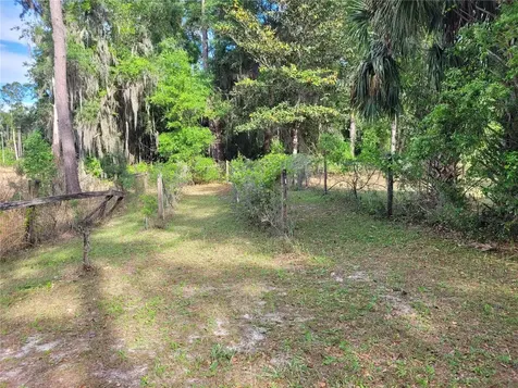 8465 NW 186th Street Reddick FL 32686