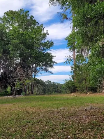 8465 NW 186th Street Reddick FL 32686