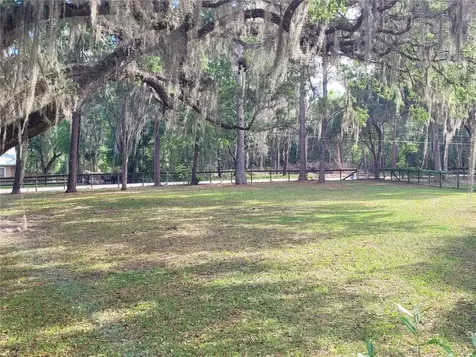 8465 NW 186th Street Reddick FL 32686