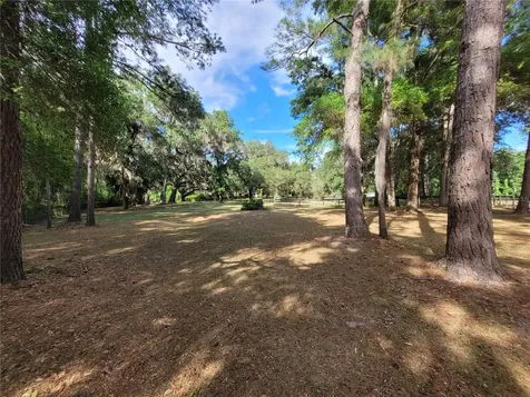 8465 NW 186th Street Reddick FL 32686