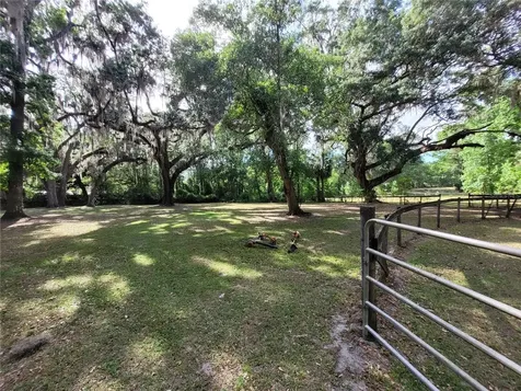 8465 NW 186th Street Reddick FL 32686