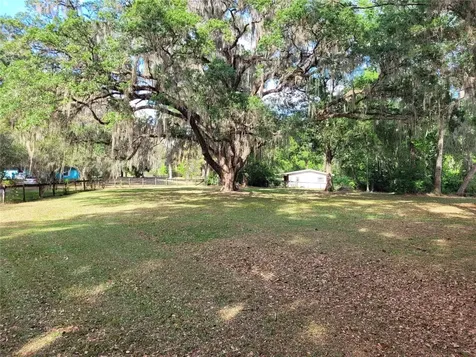 8465 NW 186th Street Reddick FL 32686