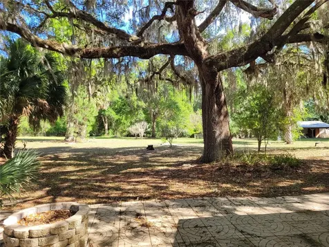 8465 NW 186th Street Reddick FL 32686