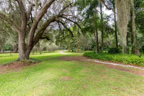 8465 NW 186th Street Reddick FL 32686