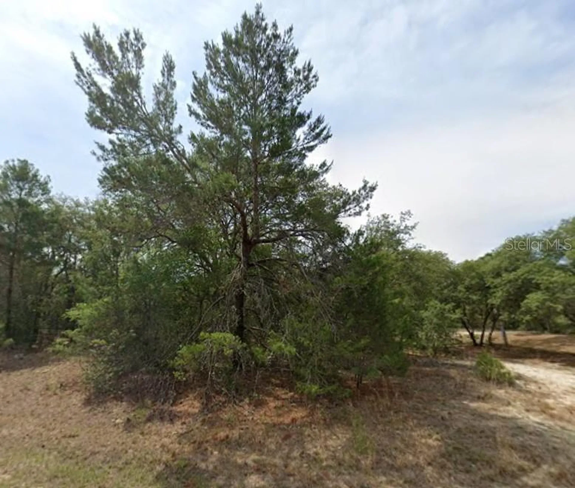 1426 W Delores Drive Citrus Springs FL 34434